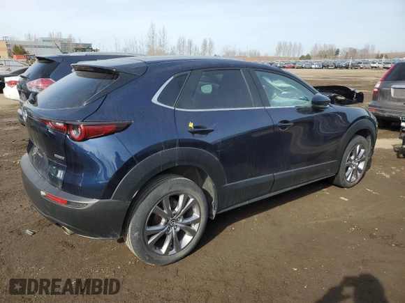 2021 Mazda CX-30 Preferred with VIN 3MVDMACL3MM227105, listed as a Copart auction lot 49101975 with Not Provided miles and Salvage Title. Bid and sale history available at DreamBid. Image 3.