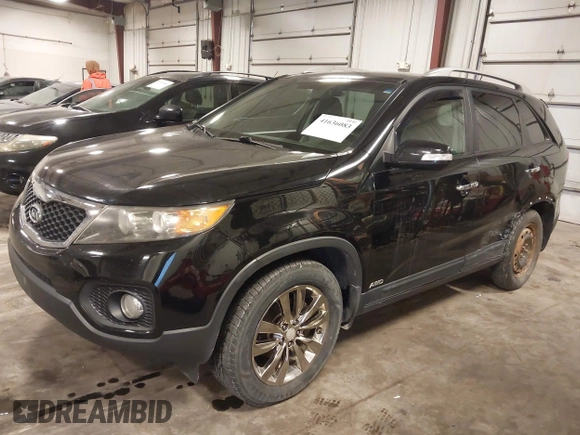 2011 Kia Sorento EX with VIN 5XYKUDA26BG079014, listed as a IAAI auction lot 41636083 with 137,957 mi miles. Bid and sale history available at carsss.com. Image 2.