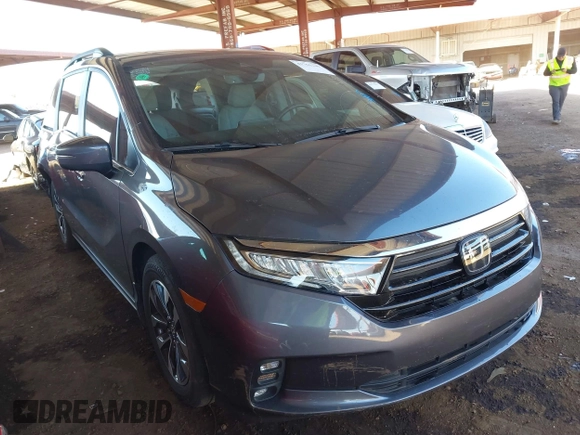 2024 Honda Odyssey EX-L with VIN 5FNRL6H67RB016849, listed as a IAAI auction lot 41761249 with 24,357 mi miles and . Bid and sale history available at DreamBid. Image 1.