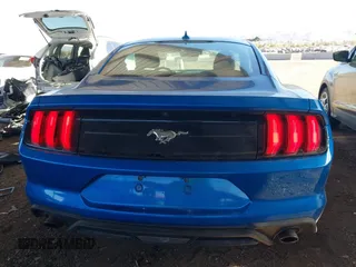 2021 Ford Mustang EcoBoost с VIN 1FA6P8THXM5133501, выставлен на аукционе IAAI как лот 41562858 с пробегом 23 398 миль миль и . История ставок и продаж доступна на DreamBid. Изображение 16.