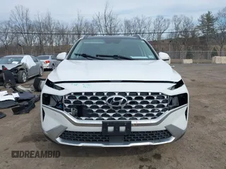 2023 Hyundai Santa Fe Limited with VIN 5NMS4DAL0PH497767, listed as a IAAI auction lot 41578381 with 31,011 mi miles and . Bid and sale history available at DreamBid. Image 18.