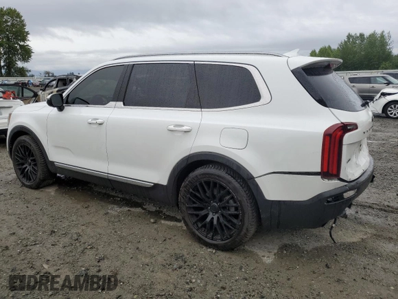 2020 Kia Telluride EX with VIN 5XYP3DHC2LG046777, listed as a Copart auction lot 57917025 with 66,494 mi miles and Salvage title. Bid and sale history available at DreamBid. Image 2.