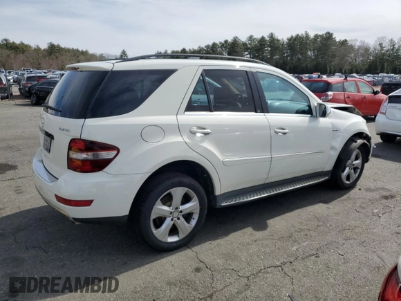 2010 Mercedes-Benz M 350 with VIN 4JGBB2FB0AA586441, listed as a Copart auction lot 49025215 with 144,977 mi miles and Salvage Title. Bid and sale history available at DreamBid. Image 3.