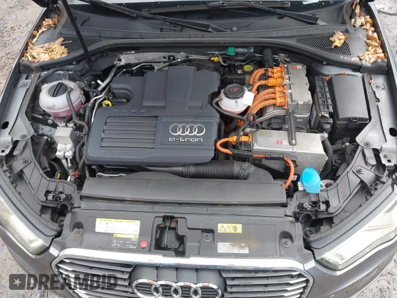 2016 Audi A3 e-tron Premium Plus with VIN WAUTPBFF5GA098055, listed as a IAAI auction lot 41704803 with 75,713 mi miles and . Bid and sale history available at DreamBid. Image 10.