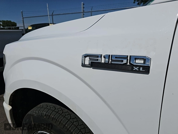 2017 Ford F-150 XL with VIN 1FTEX1EP0HKD42206, listed as a IAAI auction lot 42793663 with 188,845 mi miles and . Bid and sale history available at DreamBid. Image 27.