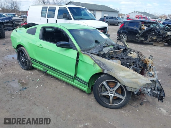 2013 Ford Mustang V6 with VIN 1ZVBP8AM1D5243147, listed as a IAAI auction lot 41975801 with Not provided miles and . Bid and sale history available at DreamBid. Image 1.