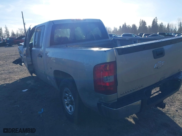 2009 Chevrolet Silverado 1500 LS with VIN 3GCEC13C59G116778, listed as a IAAI auction lot 41686495 with 166,400 mi miles. Bid and sale history available at carsss.com. Image 3.