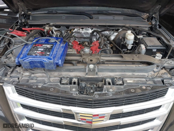 2017 Cadillac Escalade Luxury with VIN 1GYS4BKJ7HR201264, listed as a IAAI auction lot 41833359 with 187,107 mi miles. Bid and sale history available at carsss.com. Image 10.