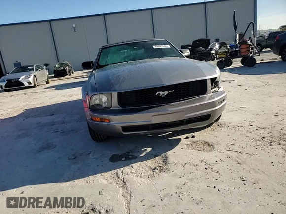 2006 Ford Mustang Standard with VIN 1ZVFT84N965262467, listed as a Copart auction lot 49697655 with 171,122 mi miles and Salvage Title. Bid and sale history available at carsss.com. Image 11.
