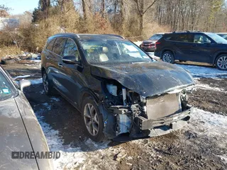 2020 Kia Sorento SX z VIN 5XYPKDA56LG694332, wystawiony jako IAAI lot #41354445 z przebiegiem 89 692 mil mil oraz . Historia ofert i sprzedaży dostępna na DreamBid. Obrazek 1.