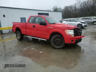 2013 Ford F-150 XL with VIN 1FTFX1EFXDFA24253, listed as a Copart auction lot 44145055 with Not Provided miles and Salvage Title. Bid and sale history available at DreamBid. Image 13.