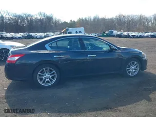 2009 Nissan Maxima 3.5 SV w/Sport Pkg with VIN 1N4AA51E59C815482, listed as a IAAI auction lot 41683955 with 241,017 mi miles. Bid and sale history available at carsss.com. Image 13.
