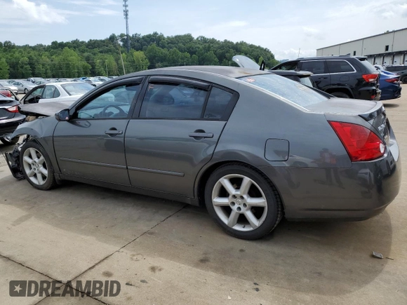 2006 Nissan Maxima 3.5 SE with VIN 1N4BA41EX6C805024, listed as a Copart auction lot 65024384 with 233,828 mi miles and Salvage Title. Bid and sale history available at carsss.com. Image 2.