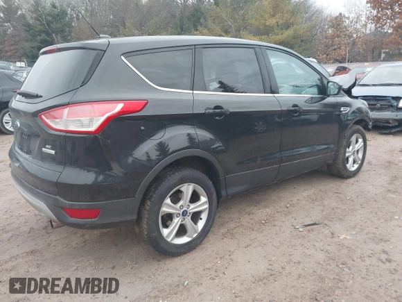2013 Ford Escape SE with VIN 1FMCU0GX1DUD08065, listed as a IAAI auction lot 41721553 with 113,935 mi miles. Bid and sale history available at carsss.com. Image 4.