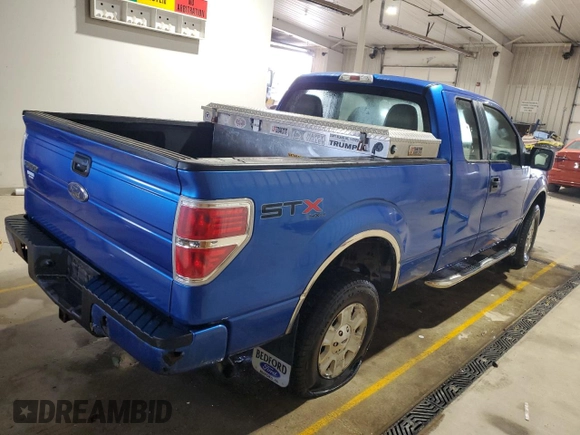 2010 Ford F-150 XL with VIN 1FTEX1EW8AFB96532, listed as a Copart auction lot 53133575 with 203,518 mi miles and Salvage Title. Bid and sale history available at carsss.com. Image 3.
