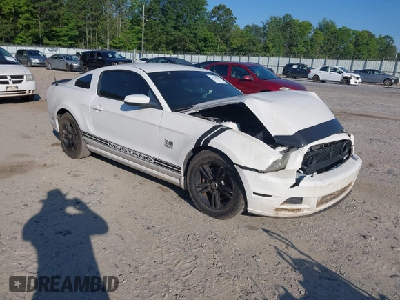 2013 Ford Mustang V6 z VIN 1ZVBP8AM6D5275978, wystawiony jako IAAI lot #42624967 z przebiegiem 134 589 mil mil oraz . Historia ofert i sprzedaży dostępna na DreamBid. Obrazek 1.