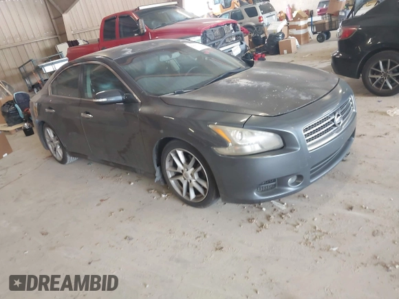 2009 Nissan Maxima S with VIN 1N4AA51E29C827105, listed as a IAAI auction lot 42445181 with 161,430 mi miles and . Bid and sale history available at DreamBid. Image 1.