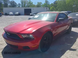 2010 Ford Mustang V6 with VIN 1ZVBP8EN4A5175330, listed as a IAAI auction lot 42049398 with 111,339 mi miles. Bid and sale history available at carsss.com. Image 2.