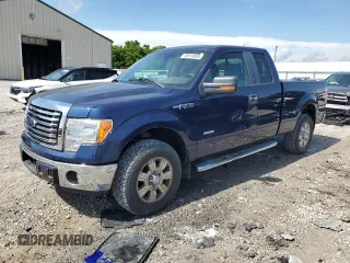 2011 Ford F-150 XL with VIN 1FTFX1ET5BFC44919, listed as a Copart auction lot 58514555 with 166,500 mi miles and Salvage title. Bid and sale history available at DreamBid. Image 1.