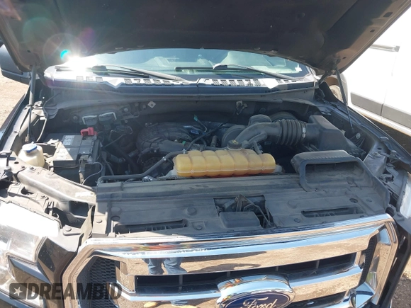 2017 Ford F-150 XL with VIN 1FTEW1C80HKD11438, listed as a IAAI auction lot 42269102 with 195,119 mi miles and . Bid and sale history available at DreamBid. Image 10.