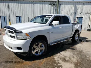 2010 Dodge 1500 SLT with VIN 1D7RV1CT0AS206922, listed as a Copart auction lot 53060375 with Not Provided miles and Salvage Title. Bid and sale history available at carsss.com. Image 1.