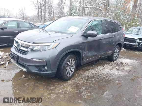 2021 Honda Pilot EX-L with VIN 5FNYF6H58MB102254, listed as a IAAI auction lot 41523287 with 27,029 mi miles. Bid and sale history available at carsss.com. Image 2.