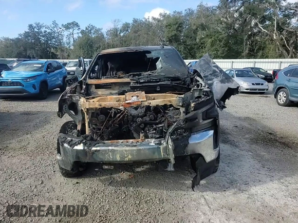 2019 Chevrolet Silverado 1500 LT with VIN 1GCRWCEK2KZ303653, listed as a Copart auction lot 81674324 with Not Provided miles and Non Repairable. Bid and sale history available at DreamBid. Image 11.