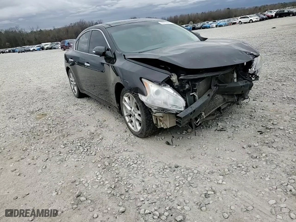2010 Nissan Maxima 3.5 SV w/Premium Pkg with VIN 1N4AA5AP7AC856380, listed as a Copart auction lot 48403845 with 267,631 mi miles and Salvage Title. Bid and sale history available at carsss.com. Image 11.