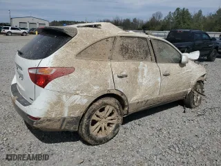 2012 Hyundai Veracruz Limited with VIN KM8NU4CC6CU194033, listed as a Copart auction lot 49903075 with 0 mi miles and Salvage Title. Bid and sale history available at carsss.com. Image 3.