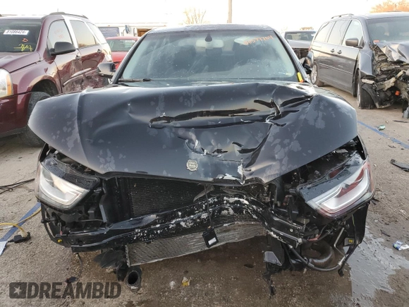 2014 Audi A4 Premium Plus with VIN WAUFFAFLXEN014656, listed as a Copart auction lot 80577704 with 115,204 mi miles and Salvage Title. Bid and sale history available at carsss.com. Image 5.