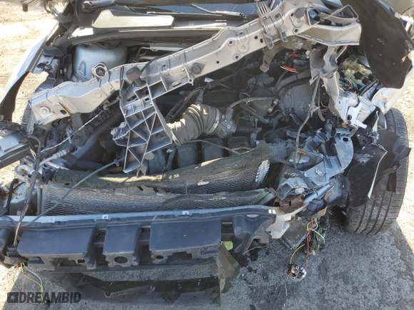 2013 Ford Focus SE with VIN 1FADP3K24DL287530, listed as a Copart auction lot 49607615 with 0 mi miles and Salvage Title. Bid and sale history available at carsss.com. Image 12.