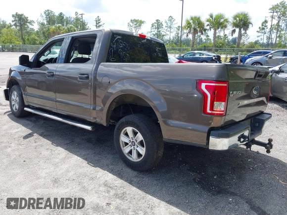 2017 Ford F-150 XL with VIN 1FTEW1CF6HFB67496, listed as a IAAI auction lot 41884533 with 156,424 mi miles and . Bid and sale history available at DreamBid. Image 3.