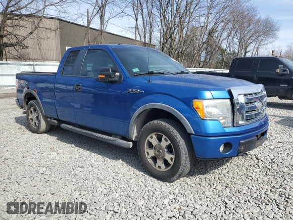 2009 Ford F-150 XL with VIN 1FTPX14V69KB51531, listed as a Copart auction lot 48141785 with 168,276 mi miles and Clean Title. Bid and sale history available at carsss.com. Image 4.