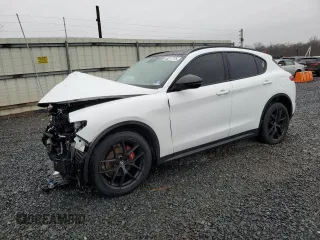 2019 Alfa Romeo Stelvio Ti Sport z VIN ZASPAKBNXK7C41405, wystawiony jako Copart lot #50217775 z przebiegiem 119 071 mil mil oraz Szkoda całkowita • Salvage title. Historia ofert i sprzedaży dostępna na DreamBid. Obrazek 1.
