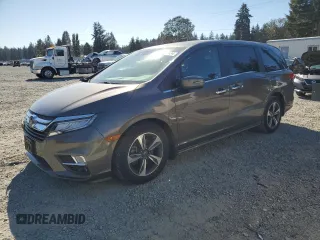 2020 Honda Odyssey Touring with VIN 5FNRL6H89LB002203, listed as a Copart auction lot 74522434 with 48,901 mi miles and Salvage Title. Bid and sale history available at DreamBid. Image 1.