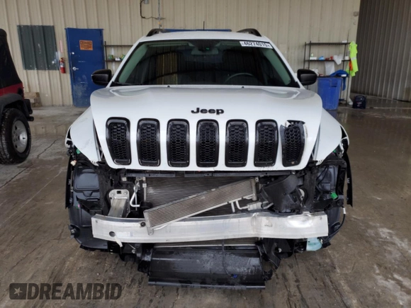 2017 Jeep Cherokee Altitude with VIN 1C4PJLAB3HW661107, listed as a Copart auction lot 46274015 with 99,258 mi miles and Salvage title. Bid and sale history available at DreamBid. Image 5.