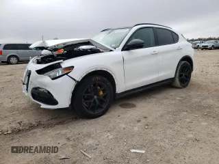 2019 Alfa Romeo Stelvio Sport z VIN ZASPAKAN5K7C57383, wystawiony jako Copart lot #65639402 z przebiegiem Nie podano mil oraz . Historia ofert i sprzedaży dostępna na DreamBid. Obrazek 2.