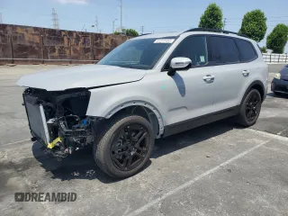 2025 Kia Telluride SX-Prestige X-Line с VIN 5XYP5DGC3SG623455, выставлен на аукционе Copart как лот 61015455 с пробегом 2 857 миль миль и Списание • Salvage title. История ставок и продаж доступна на DreamBid. Изображение 1.