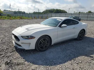 2019 Ford Mustang EcoBoost with VIN 1FA6P8TH0K5162129, listed as a Copart auction lot 56597155 with 74,533 mi miles and Salvage title. Bid and sale history available at DreamBid. Image 1.