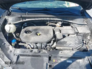 2017 Hyundai Tucson SE with VIN KM8J3CA41HU403662, listed as a IAAI auction lot 39867347 with 151,980 mi miles. Bid and sale history available at carsss.com. Image 10.