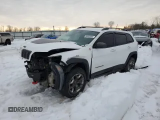 2019 Jeep Cherokee Trailhawk Elite with VIN 1C4PJMBX3KD196654, listed as a Copart auction lot 46592565 with 122,225 mi miles and Salvage Title. Bid and sale history available at carsss.com. Image 1.