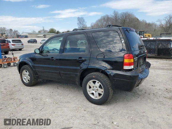 2006 Ford Escape Limited with VIN 1FMCU04196KA18798, listed as a Copart auction lot 50420725 with 113,425 mi miles and Clean title. Bid and sale history available at DreamBid. Image 2.