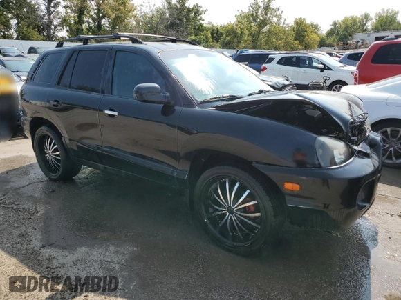 2003 Hyundai Santa Fe GLS with VIN KM8SC13D63U360869, listed as a Copart auction lot 70447874 with 206,488 mi miles and Salvage Title. Bid and sale history available at carsss.com. Image 4.