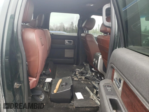 2013 Ford F-150 with VIN 2ATE01102DKD97632, listed as a Copart auction lot 49815235 with Not provided miles and Salvage title. Bid and sale history available at DreamBid. Image 10.