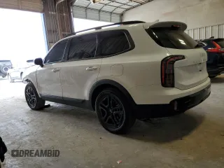 2024 Kia Telluride EX X-Line with VIN 5XYP3DGC1RG520082, listed as a Copart auction lot 53467105 with 20,251 mi miles and Salvage title. Bid and sale history available at DreamBid. Image 2.