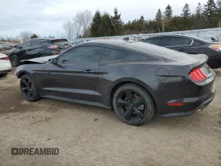 2022 Ford Mustang GT with VIN 1FA6P8CF0N5110759, listed as a Copart auction lot 48608795 with 19,177 mi miles and Clean title. Bid and sale history available at DreamBid. Image 2.