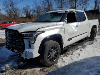 2023 Toyota Tundra Platinum with VIN 5TFNA5DB9PX096482, listed as a Copart auction lot 46142275 with 19,568 mi miles and Salvage title. Bid and sale history available at DreamBid. Image 1.