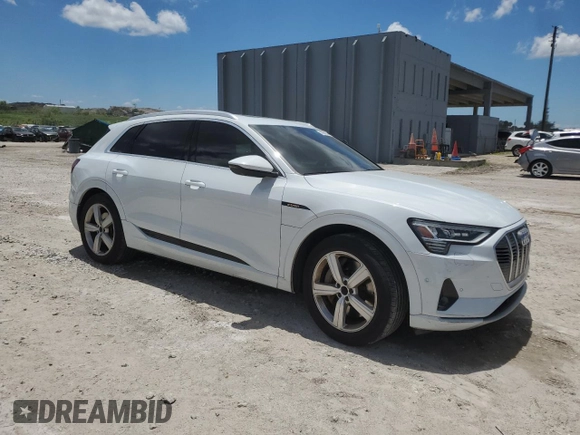 2019 Audi e-tron Prestige with VIN WA1VAAGE0KB013133, listed as a Copart auction lot 57060255 with 50,222 mi miles and Salvage title. Bid and sale history available at DreamBid. Image 4.