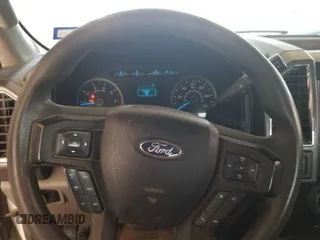2016 Ford F-150 XLT with VIN 1FTEW1EF5GFB29138, listed as a IAAI auction lot 42845125 with 245,900 mi miles and . Bid and sale history available at DreamBid. Image 6.