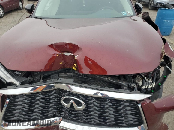 2022 Infiniti QX60 Luxe with VIN 5N1DL1FS7NC330131, listed as a Copart auction lot 87463584 with Not provided miles and Salvage title. Bid and sale history available at DreamBid. Image 14.